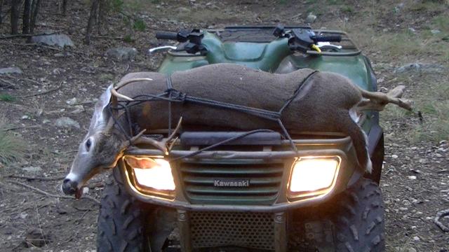 PIC00352